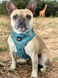 Walk On The Wild Side Dog Harness