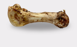 Jumbo Ostrich Bones