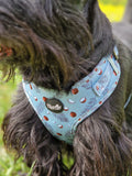 Coconut Pup Dog Harness