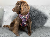 Leafy Walks Dog Harness
