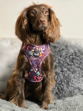 Leafy Walks Dog Harness