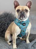 Walk On The Wild Side Dog Harness