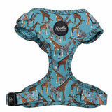 Walk On The Wild Side Dog Harness
