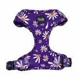 Delightful Daisy Dog Harness