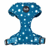 Twinkle Star Dog Harness