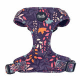 Leafy Walks Dog Harness