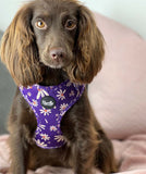 Delightful Daisy Dog Harness