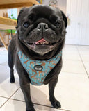 Walk On The Wild Side Dog Harness