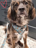 Walk On The Wild Side Dog Harness