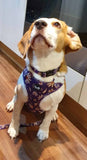 Delightful Daisy Dog Harness
