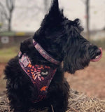Leafy Walks Dog Harness