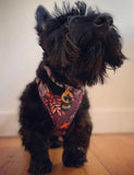 Leafy Walks Dog Harness