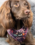 Leafy Walks Dog Harness