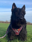 Leafy Walks Dog Harness