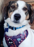 Leafy Walks Dog Harness