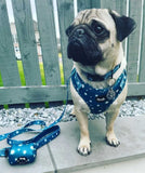 Twinkle Star Dog Harness