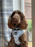 Coconut Pup Dog Harness